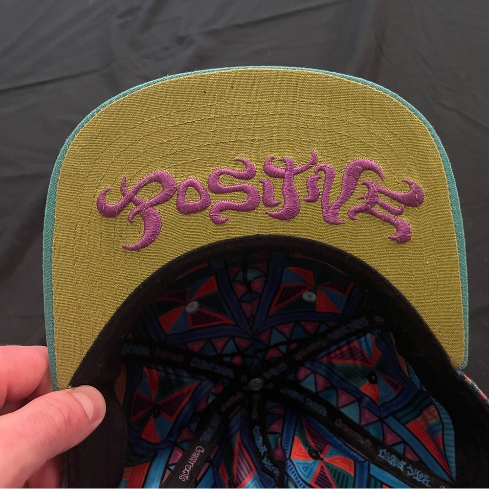 Grassroots California X Chris Dyer DMT Fitted Hat - Picture 5 of 8